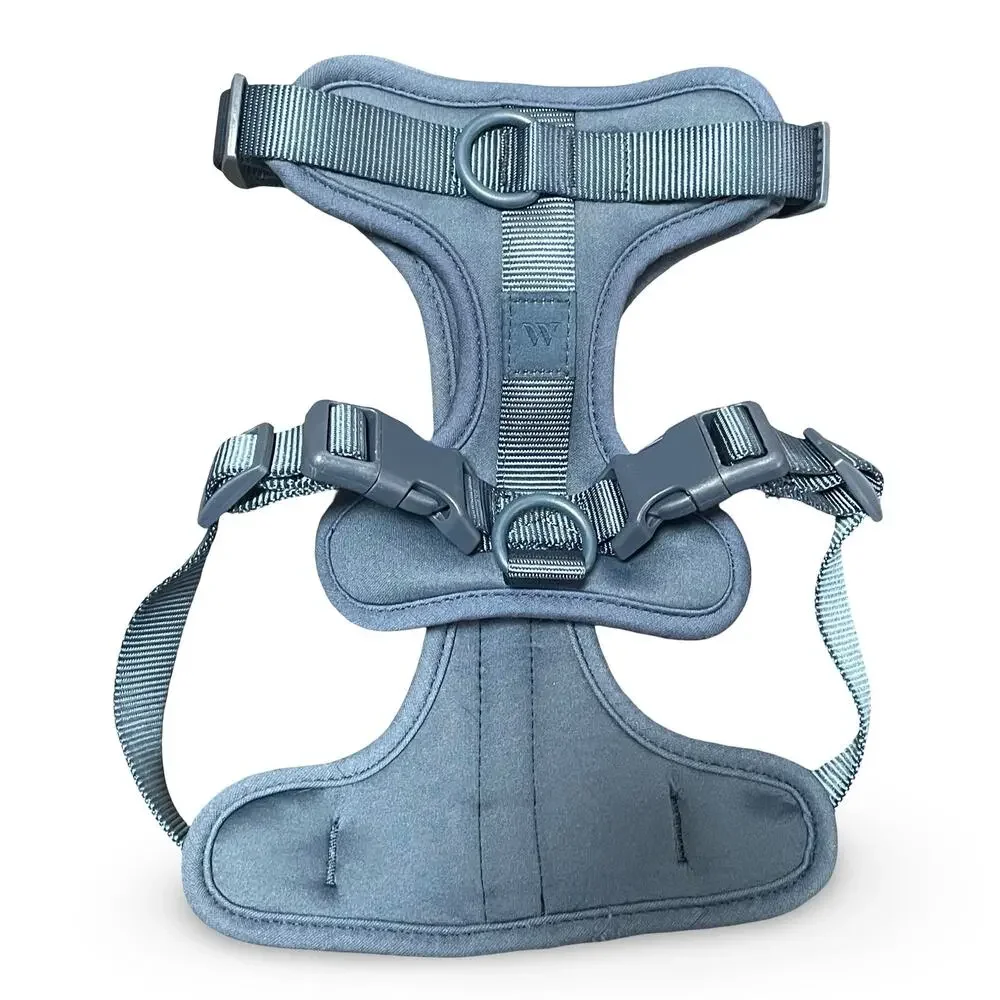 Wild One Cushioned Dog Harness Medium Blue No-Pull Adjustable Comfort Walking M